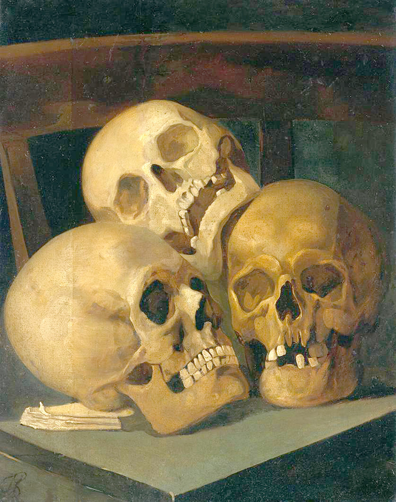 still life of three skulls
